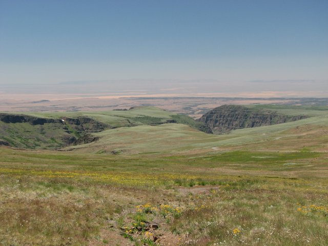 Steen's Mountain - view to west